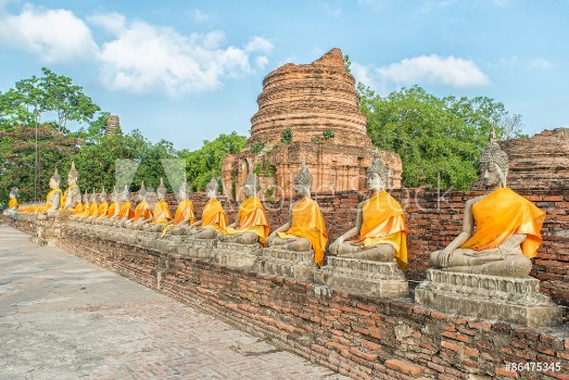 Picture of Aligned buddha statues at Wat Yai Chaimongkol Ayutthaya Thailan